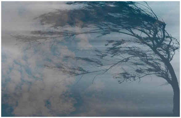 Այսօր ժամը 12:00-17:00 ընկած ժամանակահատվածում սպասվում է քամու ուժգնացում